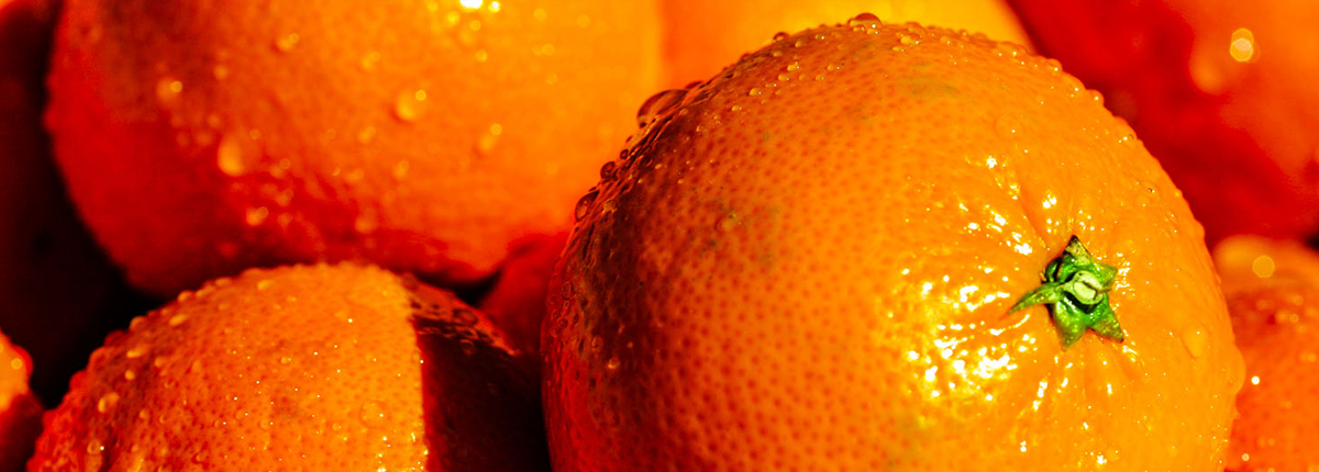 ddos在线攻击测试网站