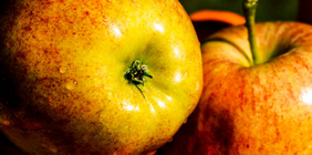 ddos压力在线测试平台